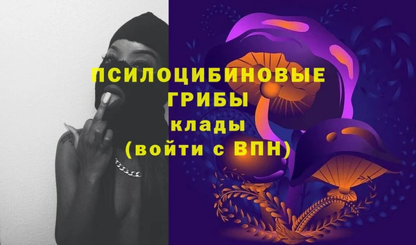 эйфоретик Белокуриха