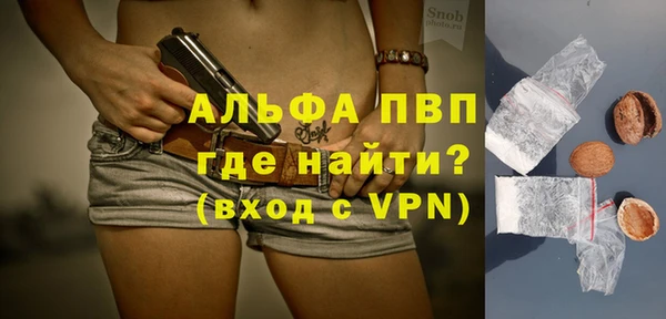 шишки Белоозёрский