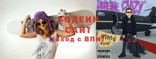 шишки Белоозёрский