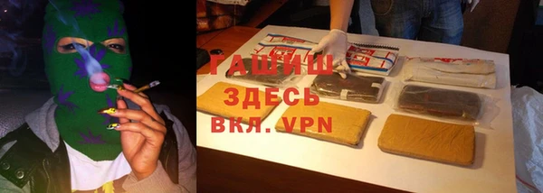 шишки Белоозёрский