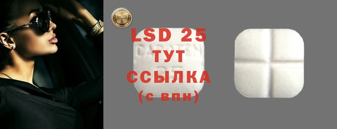 эйфоретик Белокуриха