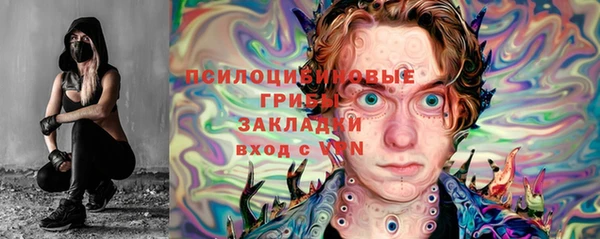эйфоретик Белокуриха