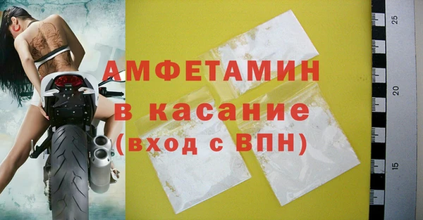 шишки Белоозёрский