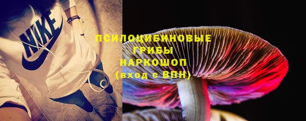 эйфоретик Беломорск