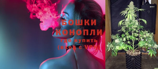 шишки Белоозёрский