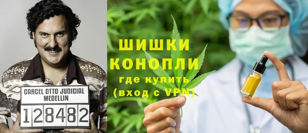 шишки Белоозёрский