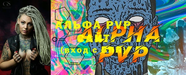шишки Белоозёрский